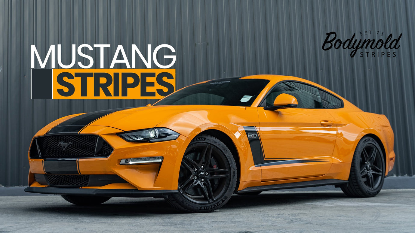 Mustang Stripes