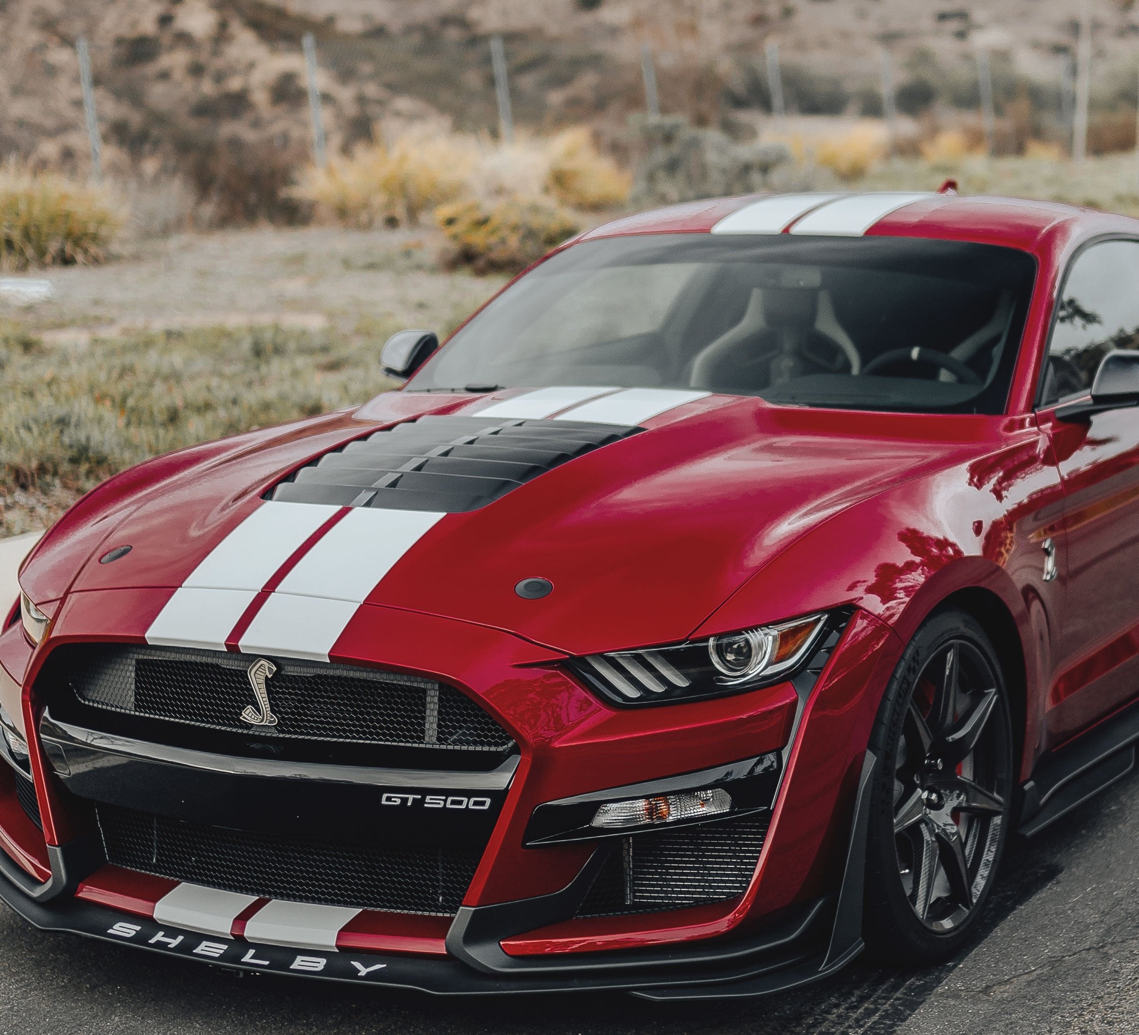 Mustang Stripe Kits