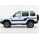 GWM Tank 300 ALKI Stripes