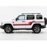 GWM Tank 300 ALKI Stripes | Retro Decals | Bodymold Signs