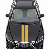 Lexus RX Hybrid Bodykit Stripe Kit