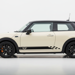 Black Rocker Stripe on Cream MINI