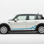Blue Stripes on White MINI
