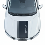 BYD Shark Hood Stripe - Landscape White Background
