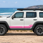 Pink stripe Tank 300 in a coastal Australian setting